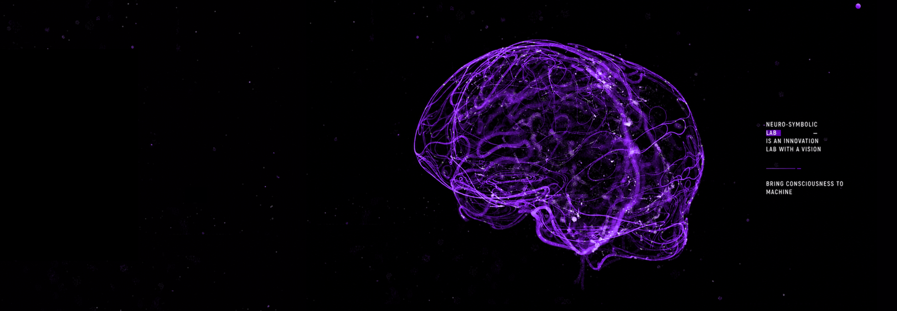 Brain Training neural network